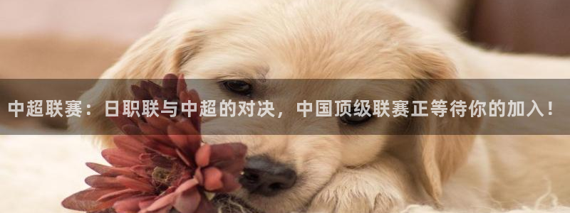 中超联赛：日职联与中超的对决，中国顶级联