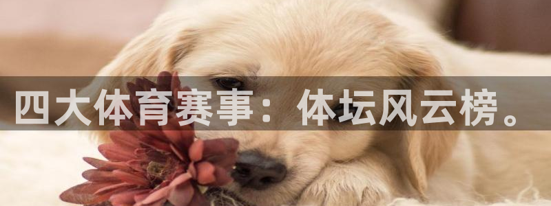 四大体育赛事：体坛风云榜。